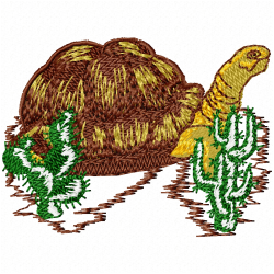 Turtle Embroidery Design 5 Turtle Embroidery Design 5